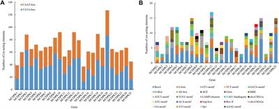 Identification and Expression Analysis of Calcium-Dependent Protein Kinases Gene Family in Potato Under Drought Stress